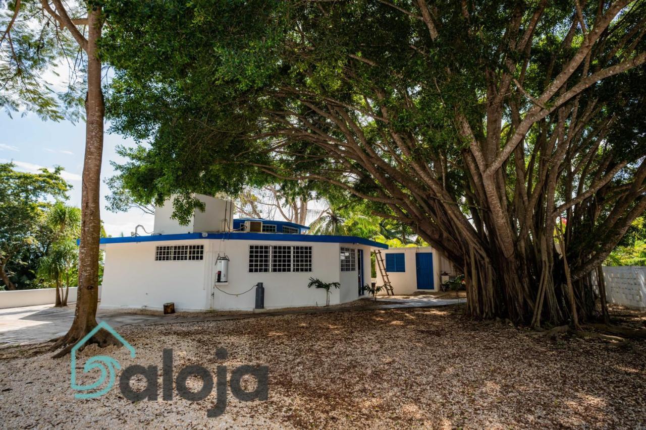 Villa Xtohil With Private Access To The Magic 7 Colors Lagoon Bacalar Exterior photo
