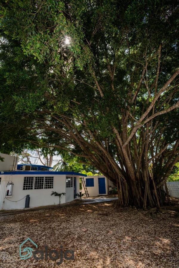 Villa Xtohil With Private Access To The Magic 7 Colors Lagoon Bacalar Exterior photo